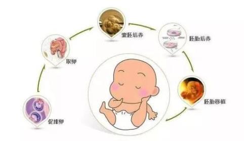 上海市人民医院三代试管婴儿多少钱（附成功率及费用详情）